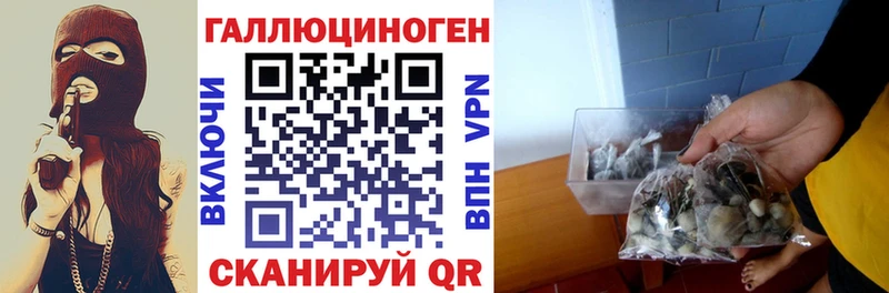 Галлюциногенные грибы Cubensis  Краснообск 